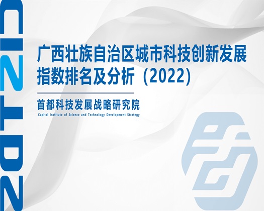 社区人妻浓厚中出【成果发布】广西壮族自治区城市科技创新发展指数排名及分析（2022）